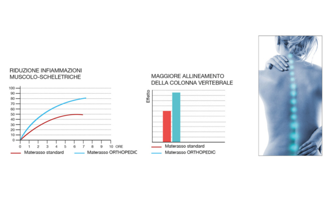 Permaflex - Lamanna Sabato - Absolute Orthopedic